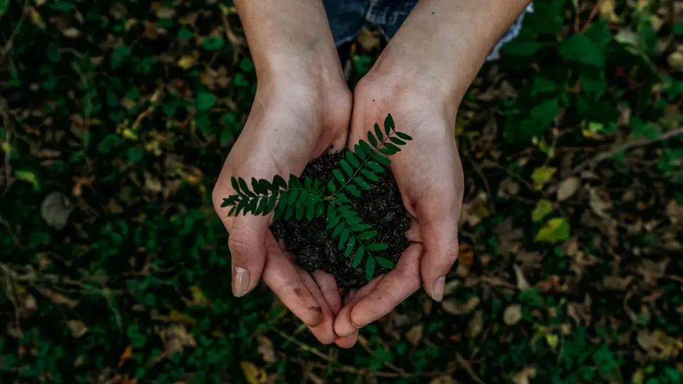 MSc Sustainability in Practice — MLA College, Reino Unido